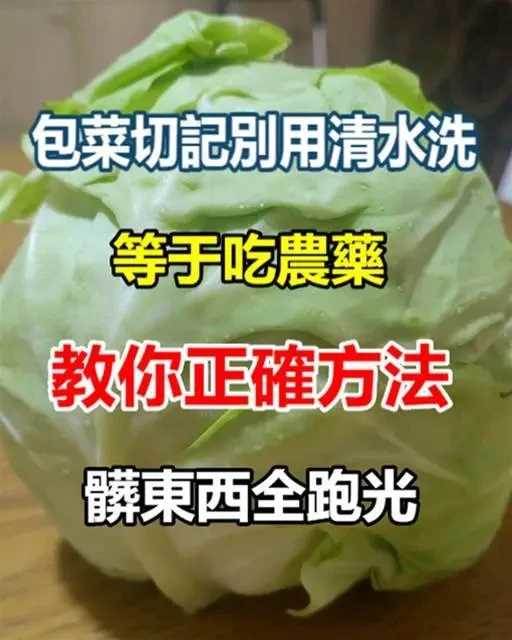 包菜切記別用清水洗，等於吃農藥，教你正確方法，髒東西全跑光，洗的乾淨吃著放心