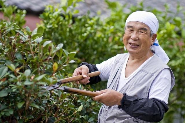 日本人不愛運動卻最長壽,患癌率極低,醫生:這幾個原因值得深思