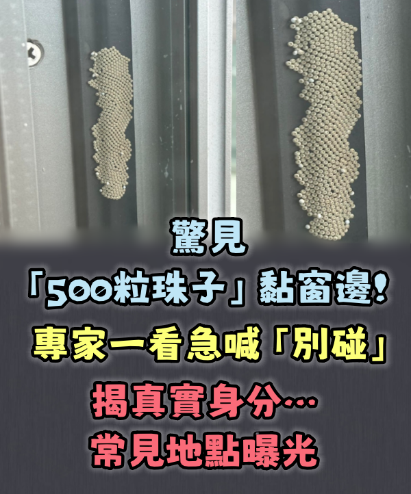 驚見「500粒珠子」黏窗邊！專家一看急喊「別碰」揭真實身分…常見地點曝光