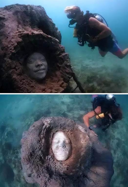 海底出現神秘「人臉」，潛水員湊近一看，立刻上岸報警