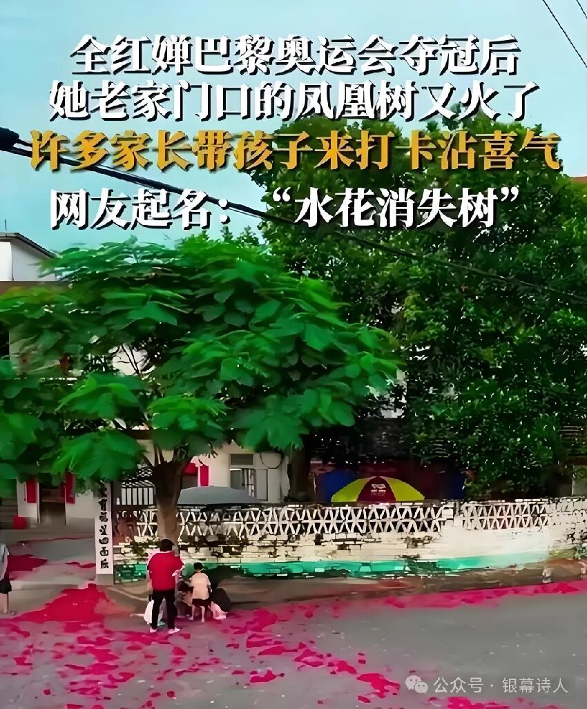 衛冕冠軍！全紅嬋卻高興不起來，全家亂成一鍋粥，家人生活受擾