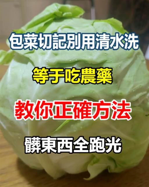 包菜切記別用清水洗，等於吃農藥，教你正確方法，髒東西全跑光