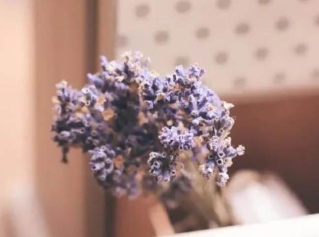 最有骨氣的5大生肖女「靠人不如靠自己」再難也不會低頭求人