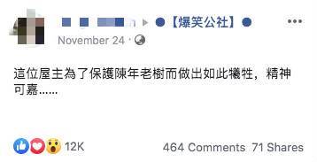 為了保護陳年老樹！屋主直接「在陽台地板挖洞」暖心幫開路　不只是「天然遮陽傘」還有貼心功能