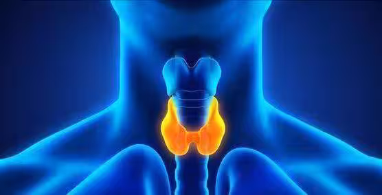 甲狀腺開始癌變，不是看痛不痛！ 醫師：若出現6個症狀或已患癌