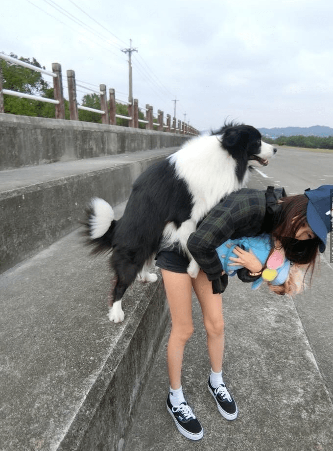 主人太正被寵物狗狗「撲倒」 網友咆哮：放開那女孩