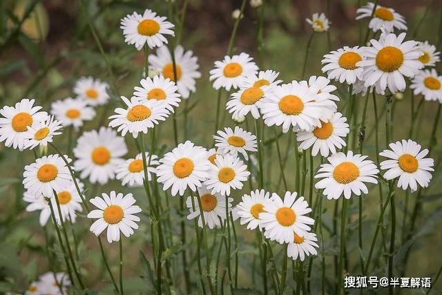 婆婆做完飯把魚藏起來不給兒媳吃,兒子下班回家看到滿桌菜,轉身離開:魚不吃了,我戒了
