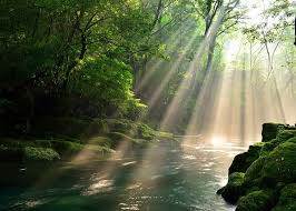 女兒死後父親無法接受，就在棺材里「裝了個攝像頭」第兩天他驚訝地看到了一幕...