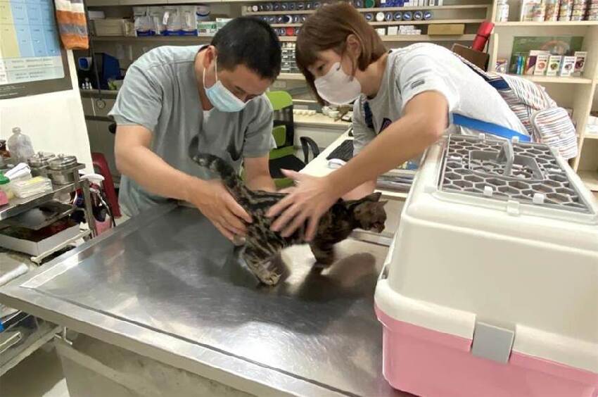 快訊／韓國瑜震撼表態！