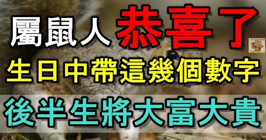 屬鼠人：如果生日中帶這幾個數字，先恭喜了！後半生將大富大貴！准爆！