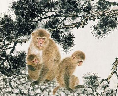 不但脾氣好，旺夫運還特別強的五大生肖女，遇到就娶了吧