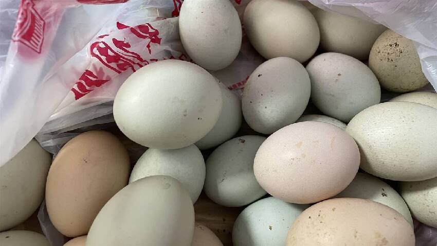 雞蛋買回家，直接放冰箱儲存就「廢了」!學會這3招，放半年也新鮮