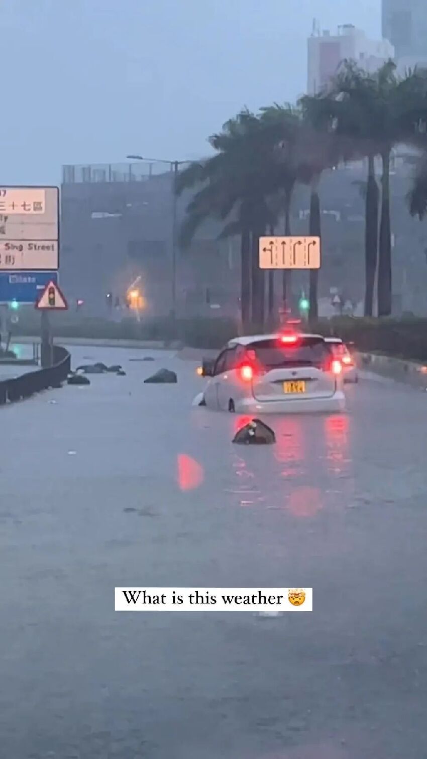 TVB力捧花旦因暴雨上央視新聞，寶馬車被困水中，徹底報廢