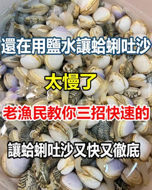 還在用鹽水讓蛤蜊吐沙？太慢了「老漁民教你三招快速的」讓蛤蜊吐沙又快又徹底