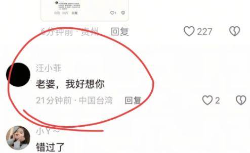 大S已火化，蘇醫生談她真正死因，汪小菲在大S影片評論區「三度留言」悔不當初