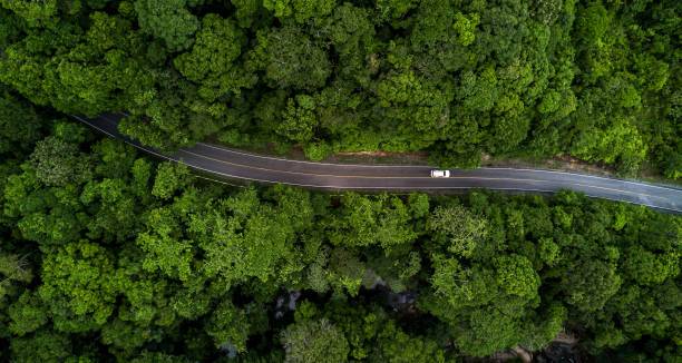 兒子夫妻都很孝順！但每次跟媳婦同車「她總會搖下車窗透氣」喊暈車　一開始我以為是真的，直到某天經過廁所「徹底明白背後原因了」