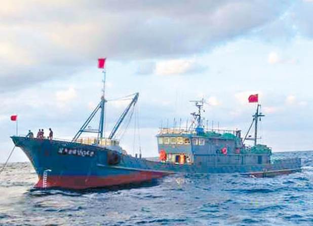 廣東漁民捕獲533斤生蠔，被酒店老闆當場70萬買下，撬開外殼後，所有人傻眼了！