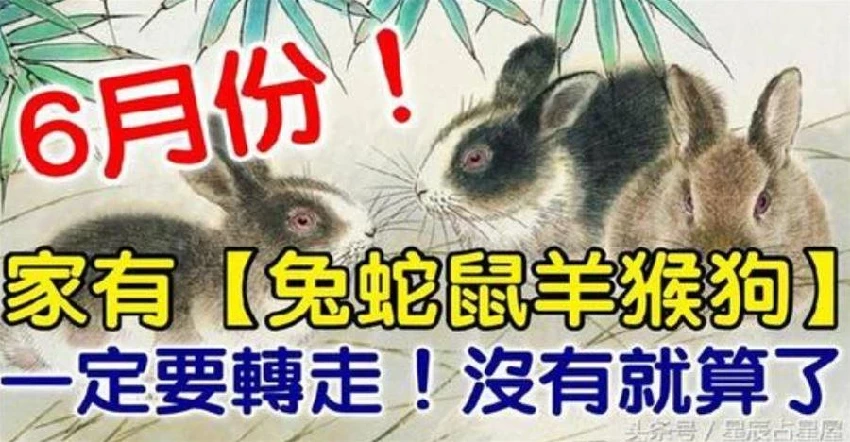 6月份家誰裡有（兔蛇鼠羊猴狗）一定要轉走，沒有就算了