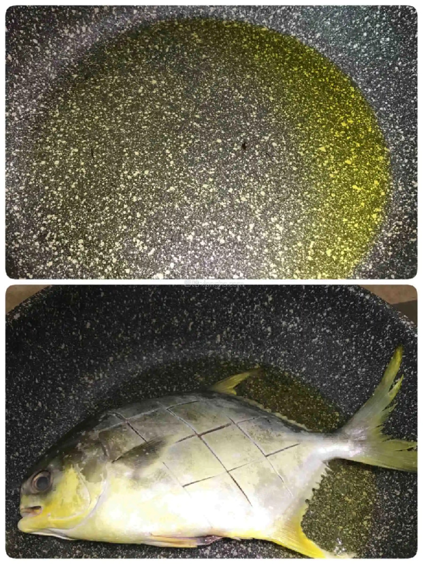 這種魚竟是天然「心腦血管保護劑」！補腦、降膽固醇，刺少肉多，一煎就香翻天