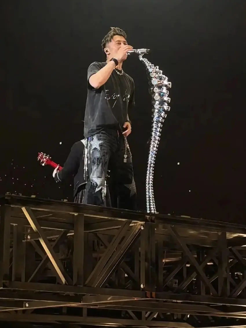 謝霆鋒演唱會，半個港圈來助陣，親媽拉姑激動跟唱，後爸坐在後面不高興