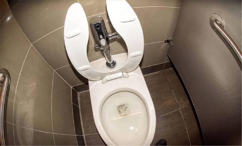 為什麼美國的女廁所，馬桶前方有個缺口？原因果然符合國情