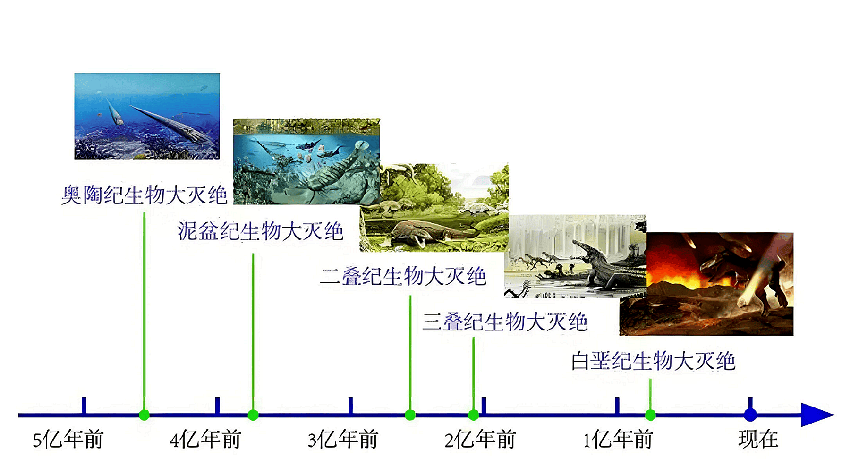 假如人類全部滅亡了，數億年後地球上會不會再次進化出人類？