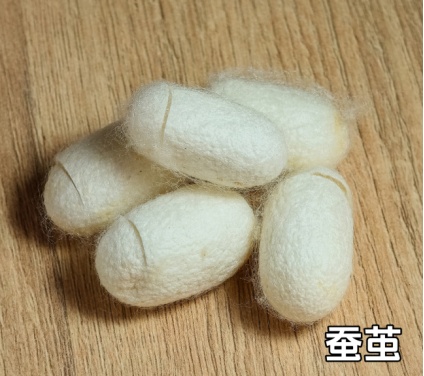 25歲女子腹痛緊急送醫！開刀「取出1公斤黑球」　醫曝「真實病因」傻眼了：整個胃都堵住...