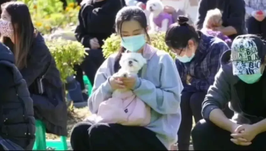 50歲王祖賢近照曝光，面容老態變形顯猙獰，如今過成了這般模樣！