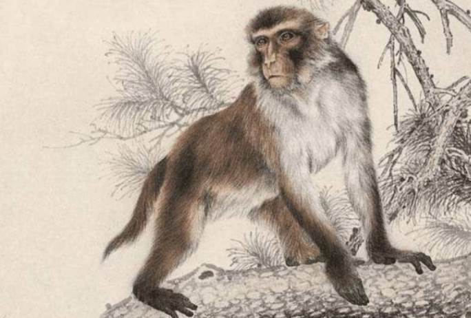 算命師說：家有「4個生肖」的孩子，是家裡的「 財神爺 」，旺家旺父母，天生的「小福星」