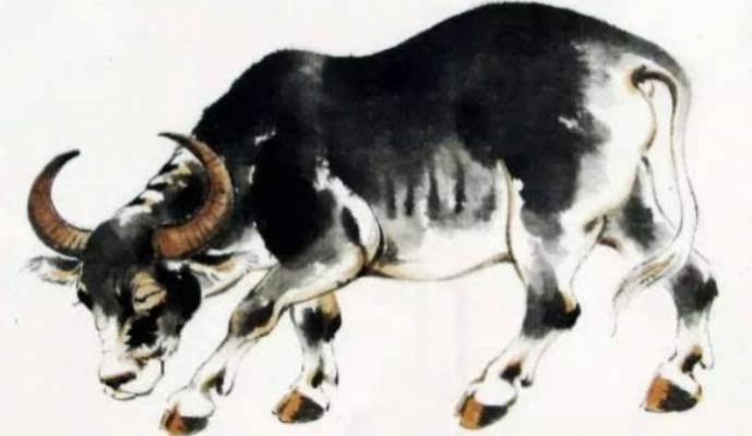 算命師說：家有「4個生肖」的孩子，是家裡的「 財神爺 」，旺家旺父母，天生的「小福星」