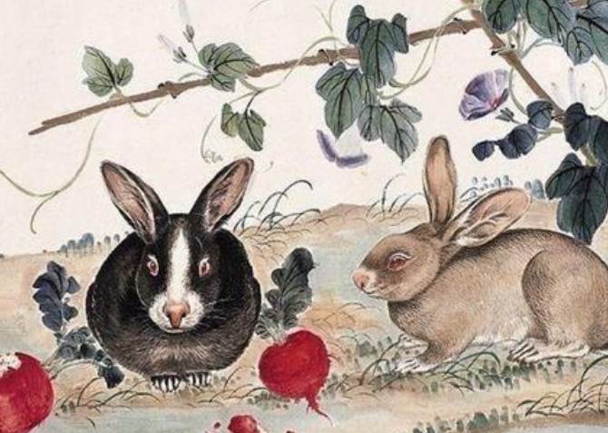 算命師說：家有「4個生肖」的孩子，是家裡的「 財神爺 」，旺家旺父母，天生的「小福星」