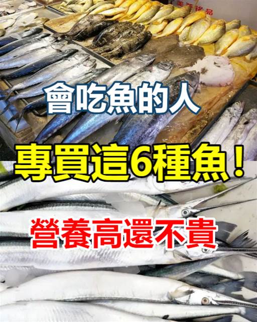 會吃魚的人，冬天專買這6種魚！營養高還不貴，關鍵都是野生的，貴也值