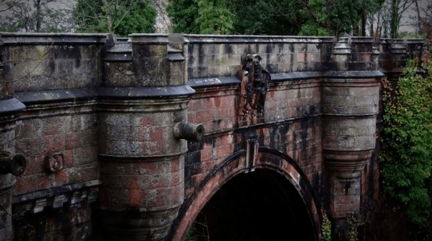 英國「鬼橋」，致600多隻狗狗跳橋而亡，科學家最終找出「兇手」