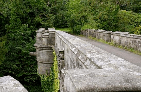 英國「鬼橋」，致600多隻狗狗跳橋而亡，科學家最終找出「兇手」