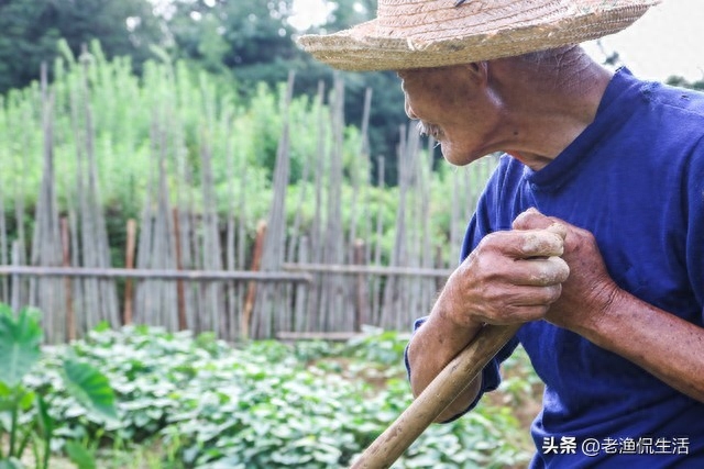 81歲的我有存款70萬，沒有留給3個孫子，全都給外孫：我不後悔