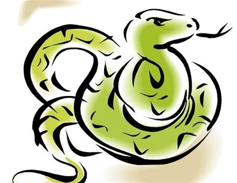 生肖屬蛇人：你人生中３個貴人，有一個絕對在你身邊！家裡有屬蛇的要注意！