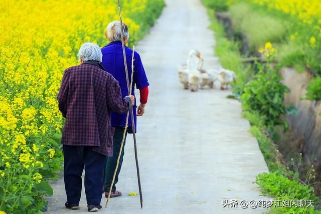 老人到了80歲高齡,要在這6個方面沉得住氣,就是最有智慧的老人
