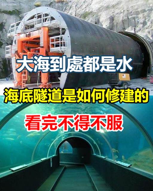 大海到處都是水，海底隧道是如何修建的？看完不得不服