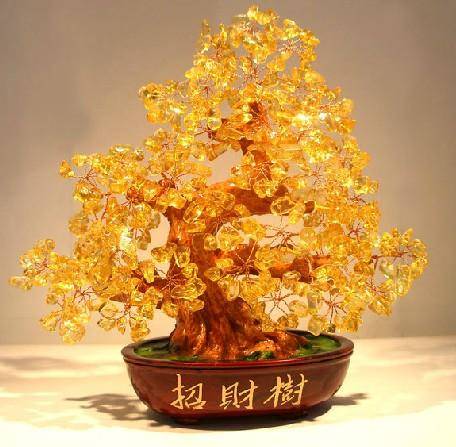 今年年底會中一次大獎的生肖