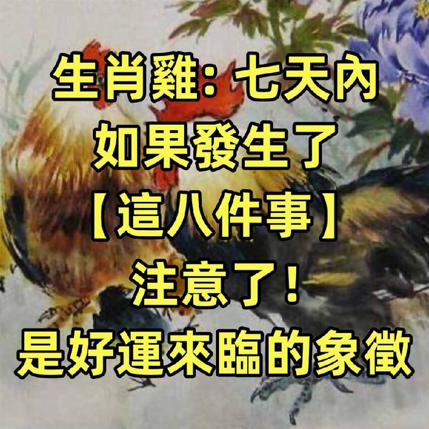 生肖雞: 七天內如果發生了這八件事，注意了！是好運來臨的象徵！