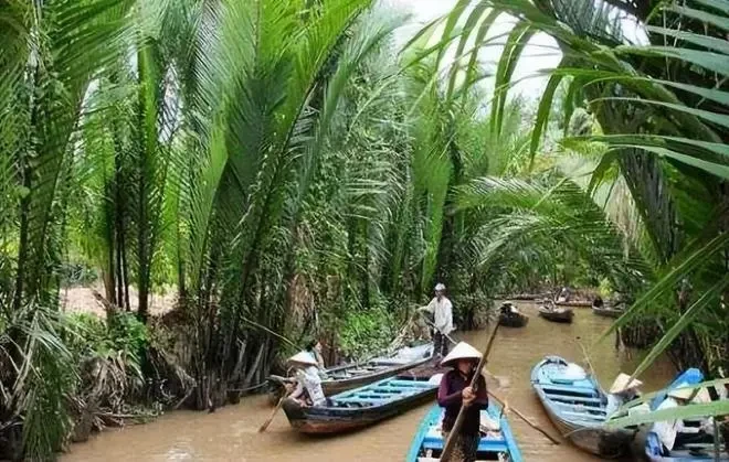 在越南旅遊，街邊漂亮姑娘總問你「要不要生菜」導遊：千萬不要接話