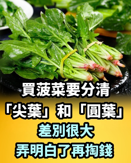 買菠菜時，要分清「圓葉」和「尖葉」，很多人不懂，難怪發澀不好吃