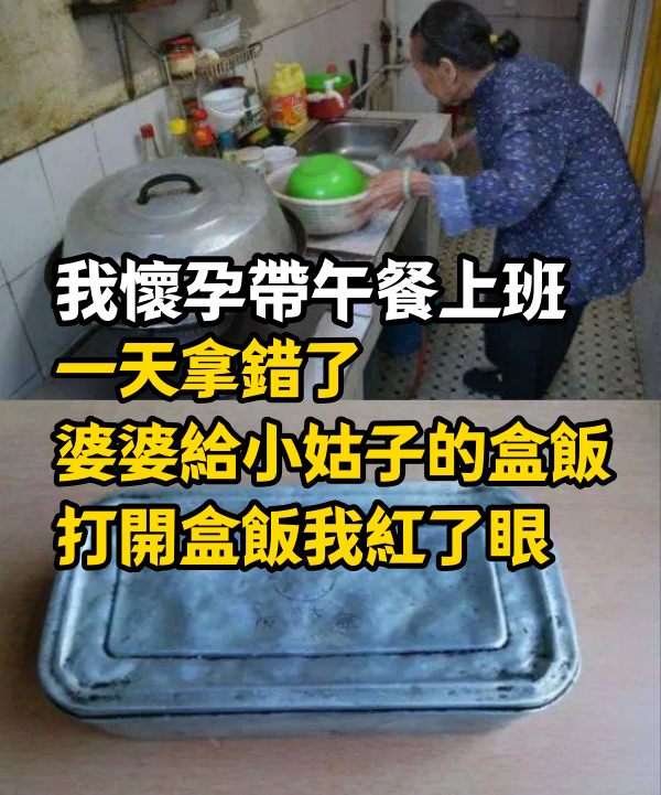 我懷孕帶午餐上班 一天拿錯了婆婆給小姑子的盒飯 打開盒飯我紅了眼