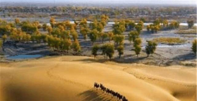 中國在塔克拉瑪乾沙漠種下億萬棵樹，如今怎麼樣了？