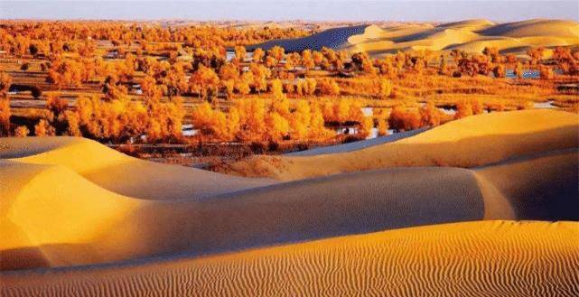 中國在塔克拉瑪乾沙漠種下億萬棵樹，如今怎麼樣了？