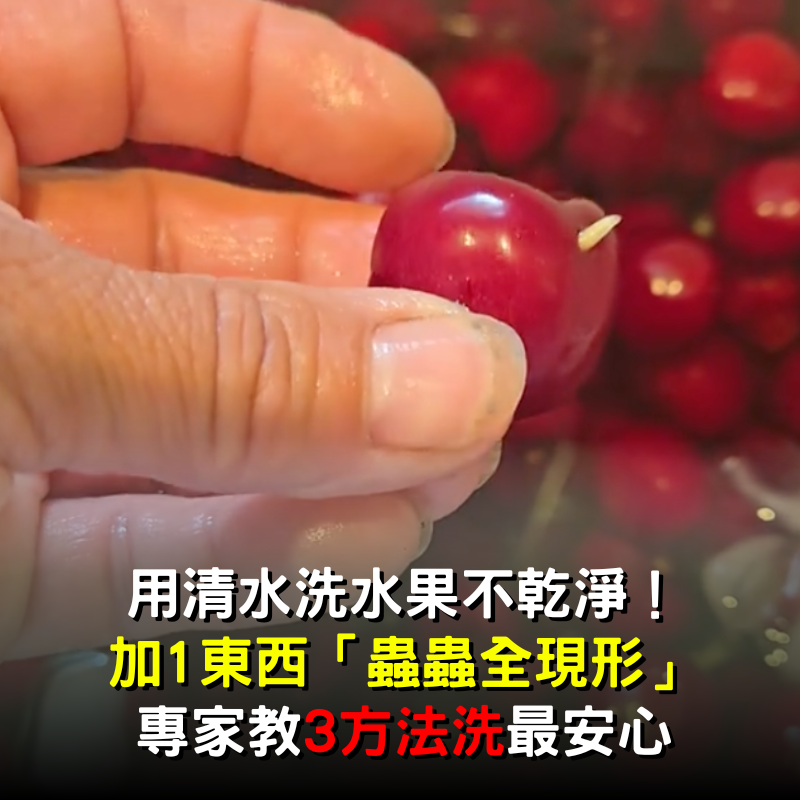 用清水洗還不夠！洗櫻桃加它「蟲蟲全現形」　專家教「用3招洗水果」安心又健康
