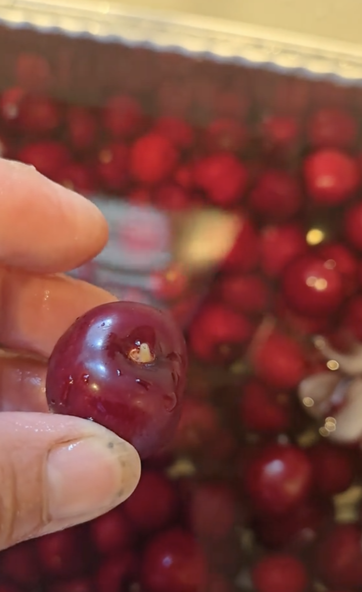 用清水洗還不夠！洗櫻桃加它「蟲蟲全現形」　專家教「用3招洗水果」安心又健康