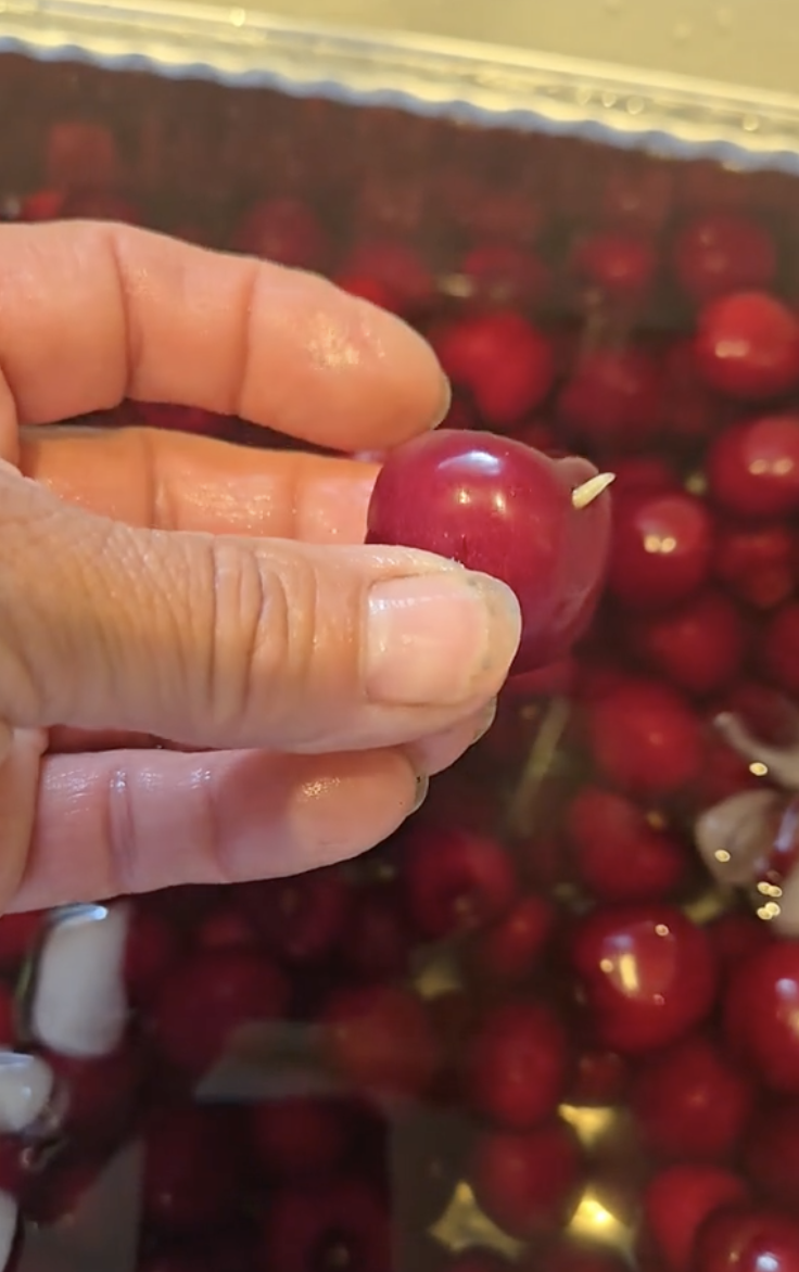 用清水洗還不夠！洗櫻桃加它「蟲蟲全現形」　專家教「用3招洗水果」安心又健康