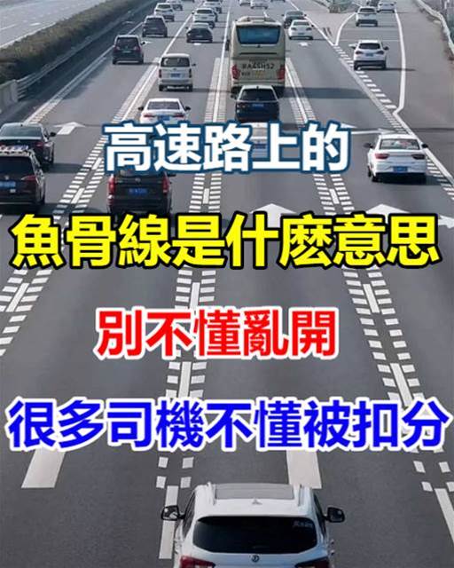 高速路上的魚骨線是什麼意思！別不懂亂開，很多司機不懂被扣分，新手可以看看