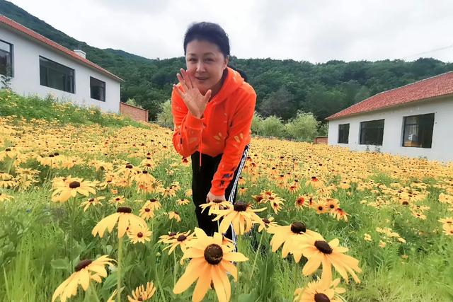 電視熟面孔！50歲資深女星「驚傳驟逝」　粉絲震驚「3好友接連走了」